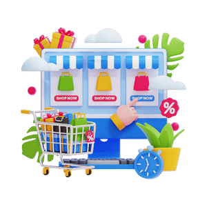 E-Commerce Setup (Amazon & Flipkart)