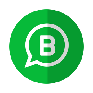 WhatsApp Marketing Campaigns 
